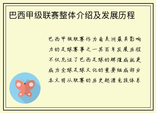 巴西甲级联赛整体介绍及发展历程